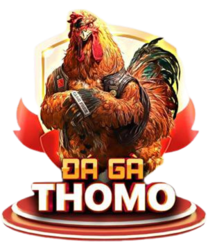 da-ga-thomo-truc-tiep