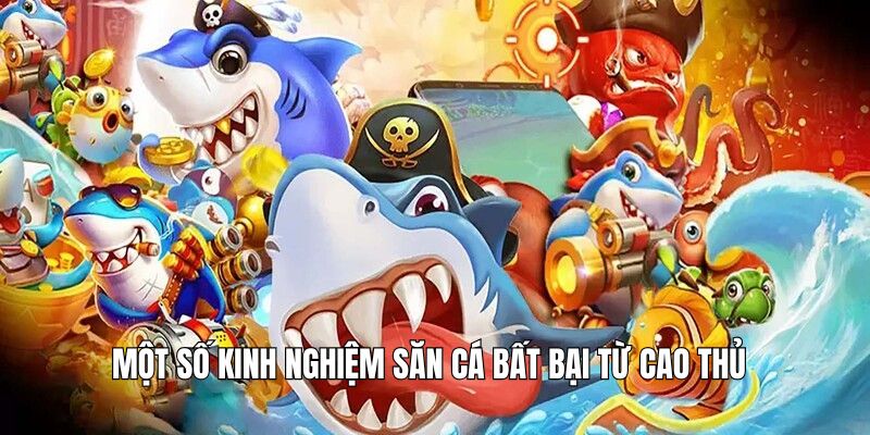 mot-so-kinh-nghiem-ban-ca-h5-tu-cao-thu