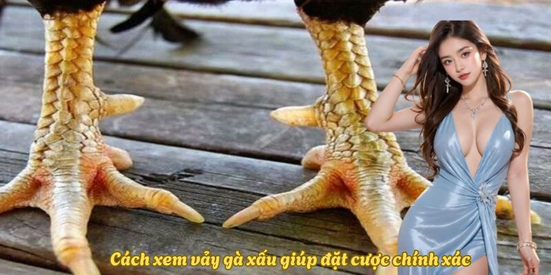 cach-xem-vay-ga-xau-giup-tang-ty-le-thang