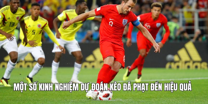 mot-so-kinh-nghiem-du-doan-keo-da-phat-hieu-qua