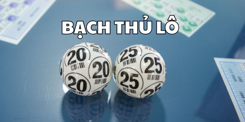 tong-quan-gioi-thieu-bach-thu-lo-la-gi